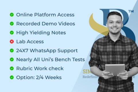 Virtual Bench Test